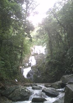 Tobago_Wasserfall